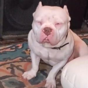 Meet your Posher, Joseph